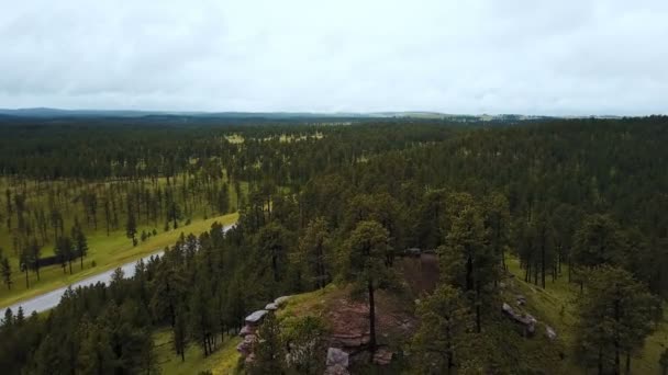 푸른 나무와 배달 트럭이 고속도로 따라 이동 미국에서 국립 산림의 아름 다운 공중 배경 샷 — 비디오