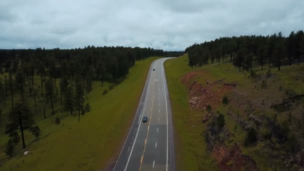 Mooie luchtfoto van het verkeer op de snelweg weg tussen de rotsachtige heuvels wild schone groene bos met bomen op bewolkte dag. — Stockvideo