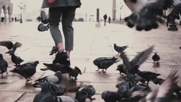 Grote zwerm duiven rond gelukkig vrouwelijke toeristische met de camera op het oude stadsplein van de San Marco in Venetië, Italië-slow-motion. — Stockvideo