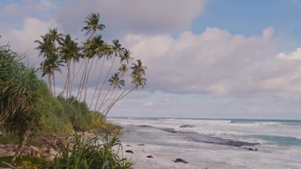 Mooie achtergrond schot van idyllische palmbomen op verbazingwekkende ocean resort beach, schuimende witte golven en zonnige zomer hemel. — Stockvideo