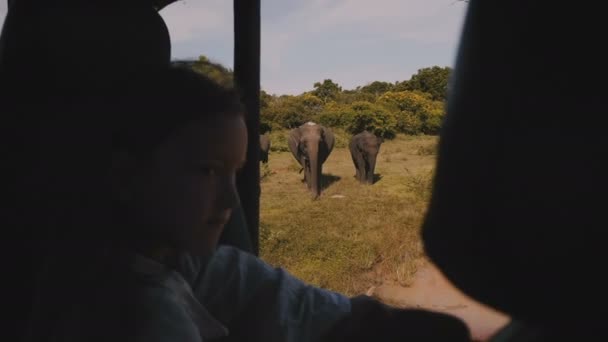 Feliz niña turista niño viendo la familia de elefantes desde el interior del coche safari, disfrutando del viaje de excursión al parque nacional . — Vídeo de stock