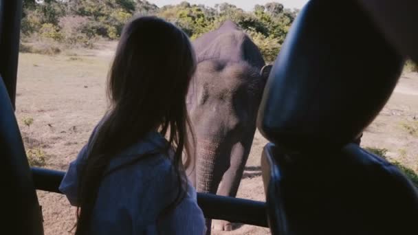 Achteraanzicht gelukkig klein meisje kind kijkt grote volwassen olifant nauwe afstand binnen safari auto in nationaal park — Stockvideo