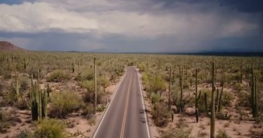 Güzel boş ıssız yol alanında büyük Saguaro kaktüs Arizona Milli Parkı fırtınalı Çölü ABD yukarıda uçan uçak.