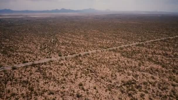 Drone panorering rätt högt över giant cactus öken fältet natur och bil på vägen i episka nationalpark i Arizona Usa. — Stockvideo