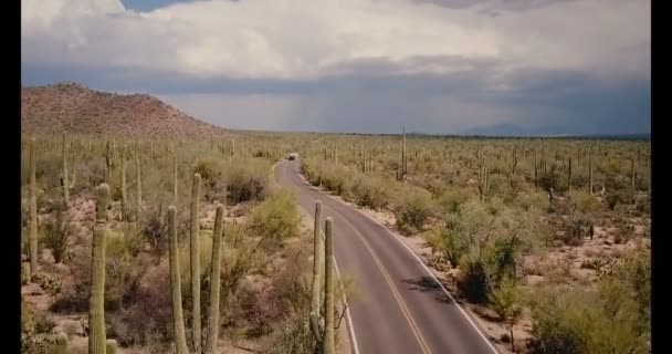 Drone tilts down on car moving along desert road in the middle of amazing cactus field at Arizona national park USA. — Stock Video