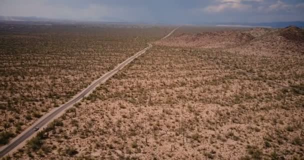 Беспилотник летает слева над красивой пустынной дорогой в удивительном гигантском кактусном поле с автомобилем в национальном парке Аризоны . — стоковое видео
