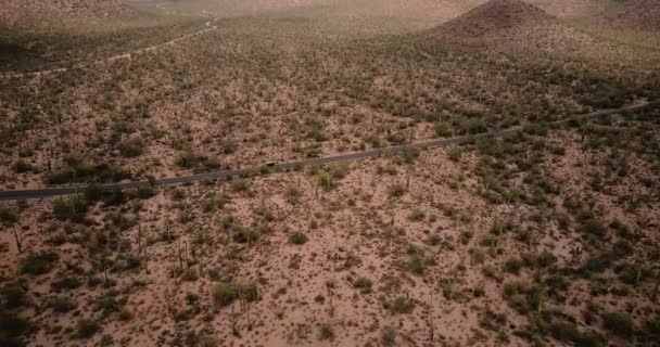 Κηφήνας panning άφησε καταδίωξη αυτοκινήτου που κινείται κατά μήκος έρημο δρόμο σε γιγάντιους κάκτους πεδίο τοπίο στην επική Αριζόνα ΗΠΑ εθνικό πάρκο — Αρχείο Βίντεο