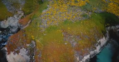 Drone kamera pastoral sinematik okyanus kıyısı kayalıklarla ve köpüklü dalgalar üzerinde Big Sur California uçan martıları izler.