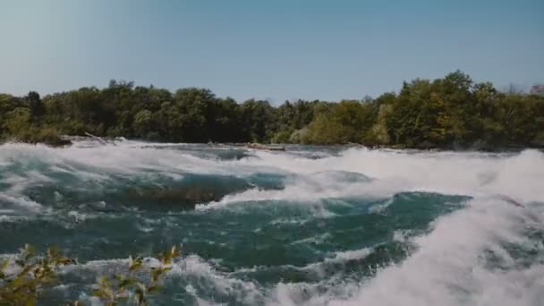 Vista maestosa di epiche onde fluviali del Niagara e lussureggianti alberi verdi sulla riva sotto il cielo limpido estivo . — Video Stock