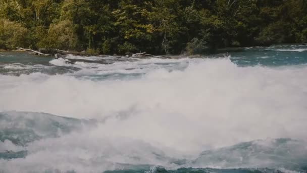 Primo piano colpo di schiuma sulle acque infuocate del pericoloso fiume veloce Niagara, rapide onde di acque bianche e alberi sulla riva . — Video Stock