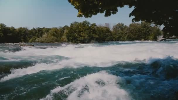 Närbild skott av vackra gröna träd över farliga rasande snabbt flod vatten i Niagara med skum stänk på forsar. — Stockvideo