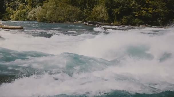 Bella vista da vicino di schiuma schizzi in alto sopra infuria rapide fiume veloce di possente Niagara e alberi verdi sulla riva . — Video Stock