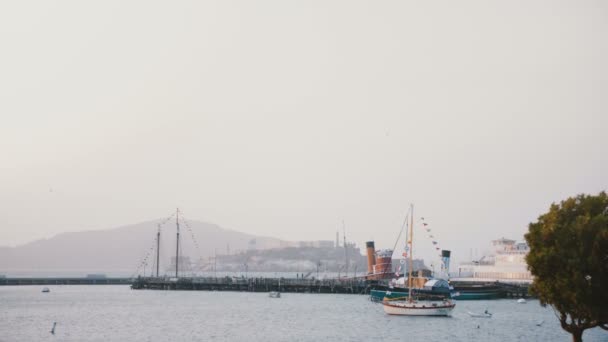 Berühmte alcatraz insel in san francisco, usa ist in der ferne hinter schönen sommerkreuzfahrtschiffe und pier gesehen. — Stockvideo