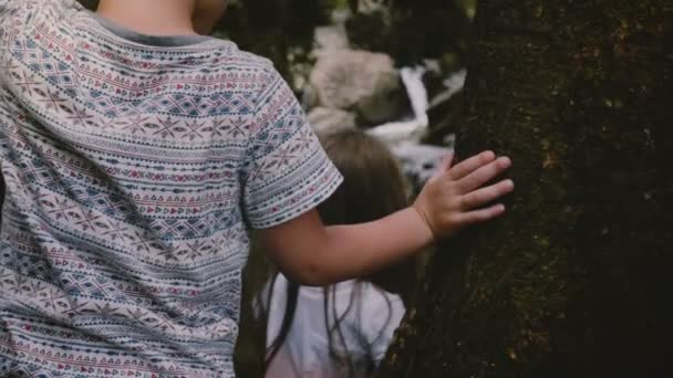 Nahaufnahme-Kamera folgt zwei kleinen Kindern, die vorsichtig auf große Felsen treten und über den sri lanka Dschungel-Wasserfall hinunterlaufen. — Stockvideo