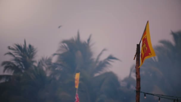 Belo plano de fundo atmosférico de pequenas bandeiras do Sri Lanka acenando em vento e fumaça, palmeiras no fundo do crepúsculo . — Vídeo de Stock