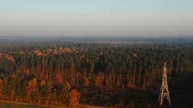 Drone güzel atmosferik sonbahar günbatımı orman manzara üzerinde yüksek uçan, sisli sis altında çam yeşillik.