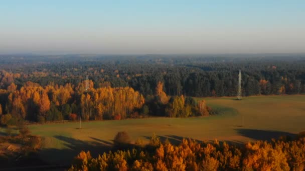 Дрон летить над сонячним західним полем і змішаний осінній ліс з жовтими і зеленими деревами, вежі лінії електропередач поруч . — стокове відео