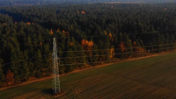 Drone przechylają się latające nad jesiennym polem zachodu słońca i lasem z żółtymi i zielonymi drzewami, dużymi wieżami linii elektrycznych. — Wideo stockowe