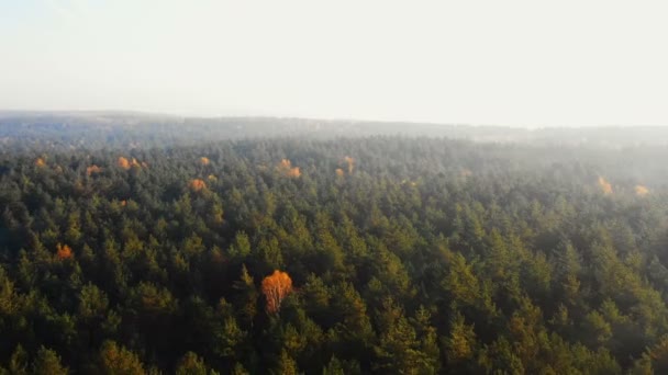 Drone paneo justo sobre el increíble bosque soleado de otoño, el cielo de neblina brillante épica salida del sol y el panorama llamarada lente . — Vídeo de stock