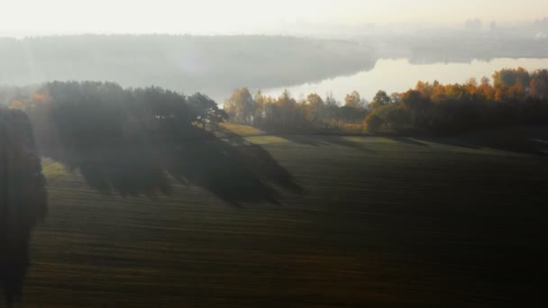 Drone descendiendo sobre campo de otoño soleado brumoso atmosférico y bosque cubierto con niebla del amanecer, hacia la pequeña carretera del lago . — Vídeo de stock