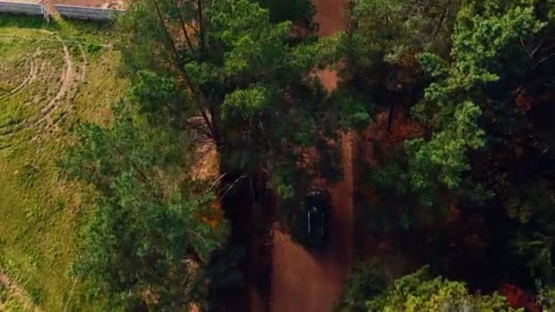 Vista superior plano aéreo, coche negro que conduce en la carretera forestal de grava bajo los árboles de otoño, pliegues de granja de animales y casas de rancho . — Vídeo de stock