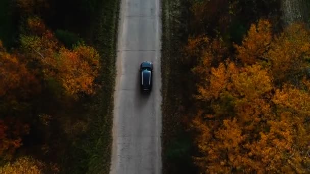 Lotnicze widok z góry strzał śledzenia, czarny samochód porusza się wzdłuż żółtych drzew leśnych jesienią na asfaltowej wsi podróż. — Wideo stockowe