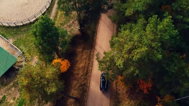 Vista dall'alto tiro aereo, auto nera lentamente in movimento su strada sterrata sotto alberi autunnali gialli e verdi e pieghe fattoria degli animali . — Video Stock