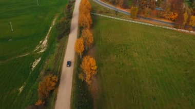 Havadan üst görünümü, kamera kırsal alanlar ve sarı sonbahar ağaçları, güzel bir yolculuk boyunca sürüş siyah araba izler.