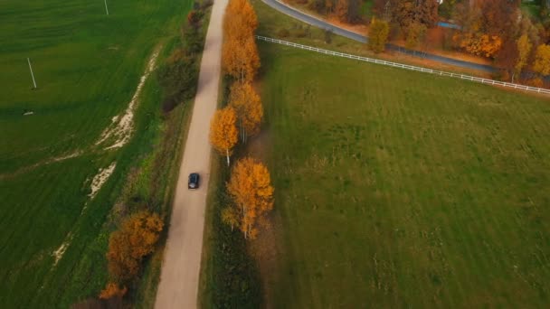 Luftaufnahme, Kamera folgt schwarzem Auto, das ländliche Felder und gelbe Herbstbäume entlangfährt, schöner Roadtrip. — Stockvideo