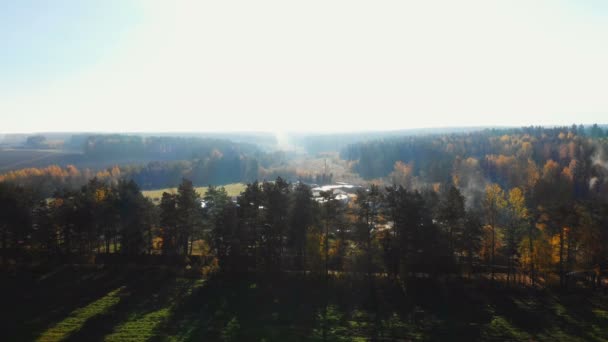 Drone stijgt boven verbazingwekkende herfst Sunrise veld en bomen te onthullen grote landelijke boerderij Estate op zonnige ochtend. — Stockvideo
