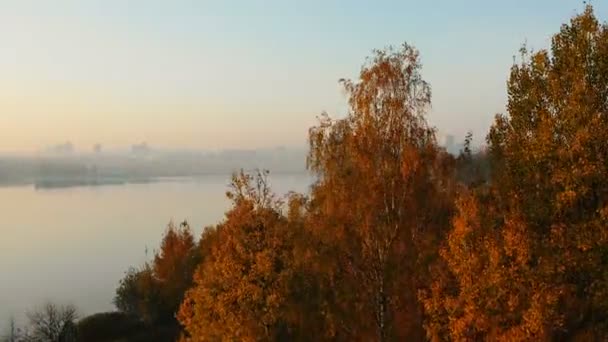 Drone stiger över höst träd avslöjar episka fortfarande Sunset Lake, stora avlägsna stadsbyggnader skyline, Clear Sky Panorama. — Stockvideo