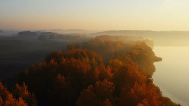 Drone flying above majestic yellow autumn lake forest covered with mist towards epic sunset skyline. Peaceful nature. — Stock Video