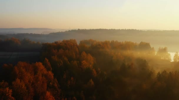 Drohnen fliegen über Wald und See, Bäume sind mit Nebelschwaden bedeckt. Bezaubernde friedliche Natur bei Sonnenuntergang. — Stockvideo