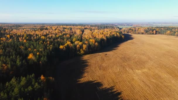Drone flying above sunny autumn field and mixed forest, beautiful lens flare nature panorama, agriculture lands concept. — Stock Video