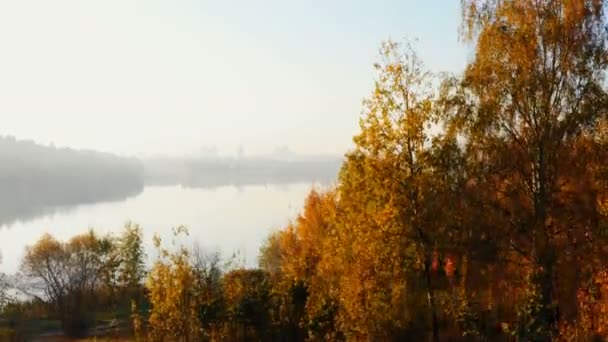 Drohne steigt über gelben Herbstbäumen auf und zeigt atmosphärische Stadtsilhouette und ruhigen See, der mit Morgennebel bedeckt ist. — Stockvideo