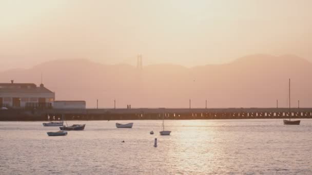 ボートや鳥、海水に反射する太陽とロマンチックな霧のサンフランシスコの夕日桟橋の美しい背景ショット. — ストック動画