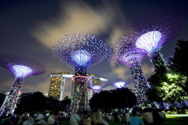 Singapur'un en büyük parkının güzelliği ziyaretçilerin gözlerini bozar