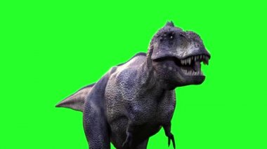 animasyon çalışan dinozor Tyrannosaurus Rex 3d render yeşil arka plan üzerinde