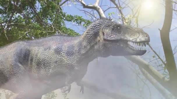 Ζωντανεψει Μια Τρέχοντας Δεινόσαυρος Tyrannosaurus Rex Καθιστούν Στη Ζούγκλα — Αρχείο Βίντεο