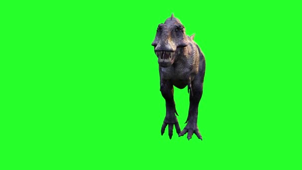 Animatie Van Een Lopend Dinosaurus Tyrannosaurus Rex Renderen Groene Achtergrond — Stockvideo