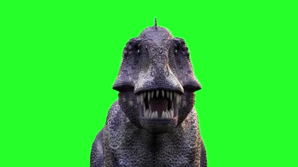 Animare Dinosauro Esecuzione Rendering Rex Tyrannosaurus Sfondo Verde — Video Stock