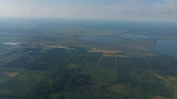 Letecký Pohled Zelené Louky Pastviny — Stock video