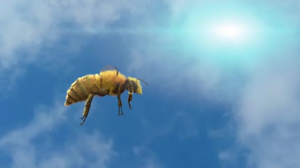 Abeja Volando Cielo Fondo Renderizar — Vídeos de Stock