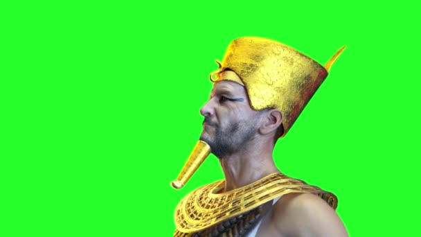 Египетский Фараон — стоковое видео