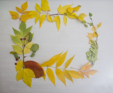 Tablo arka plan üzerinde sonbahar yaprak çerçeve