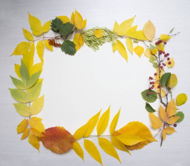 Tablo arka plan üzerinde sonbahar yaprak çerçeve