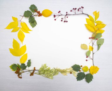 Tablo arka plan üzerinde sonbahar yaprak çerçeve