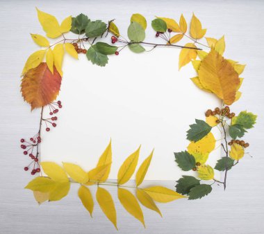 Tablo arka plan üzerinde sonbahar yaprak çerçeve