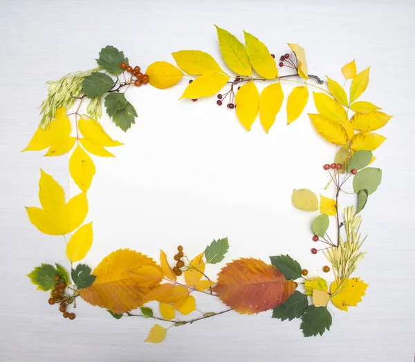 Rám Podzimní Listí Pozadí Tabulky — Stock fotografie