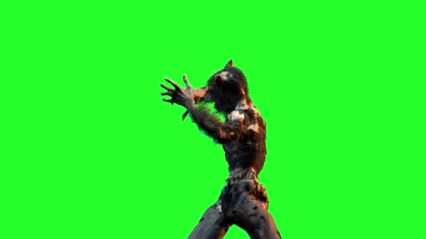 绿色背景下的狼人3D — 图库视频影像